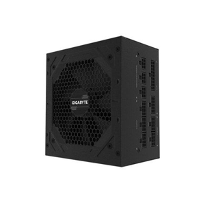 Gigabyte-P1000GM-ATX12V-2.31